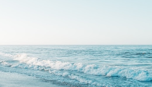 【せどり初心者】初めて仕入れに行ってみた結果…普通に失敗しました